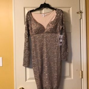 NWT Sparkly Nude Lace Dress Dillard’s